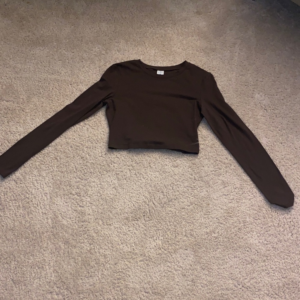 Brown Long Sleeve Crop Top